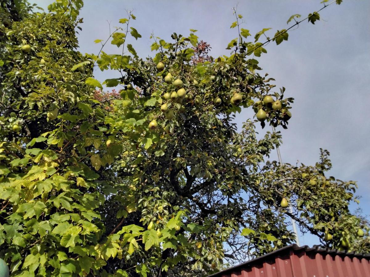 Bo I Trelleborg Apartman Kültér fotó